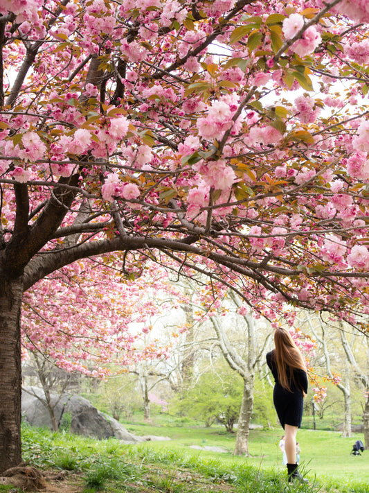 Spring Reset: Style, Self-Care & Fresh Starts