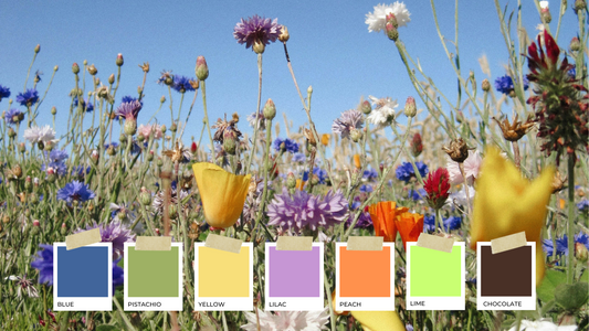 Trending colours of the spring season 2024 - Lemon Cyprus Boutique - colours of a field of wildflowers, blue, pistachio, yellow, lilac, peach, lime and chocolate.