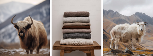 A Guide to Luxurious Warmth: 100% Merino Wool, Yak and Cashmere