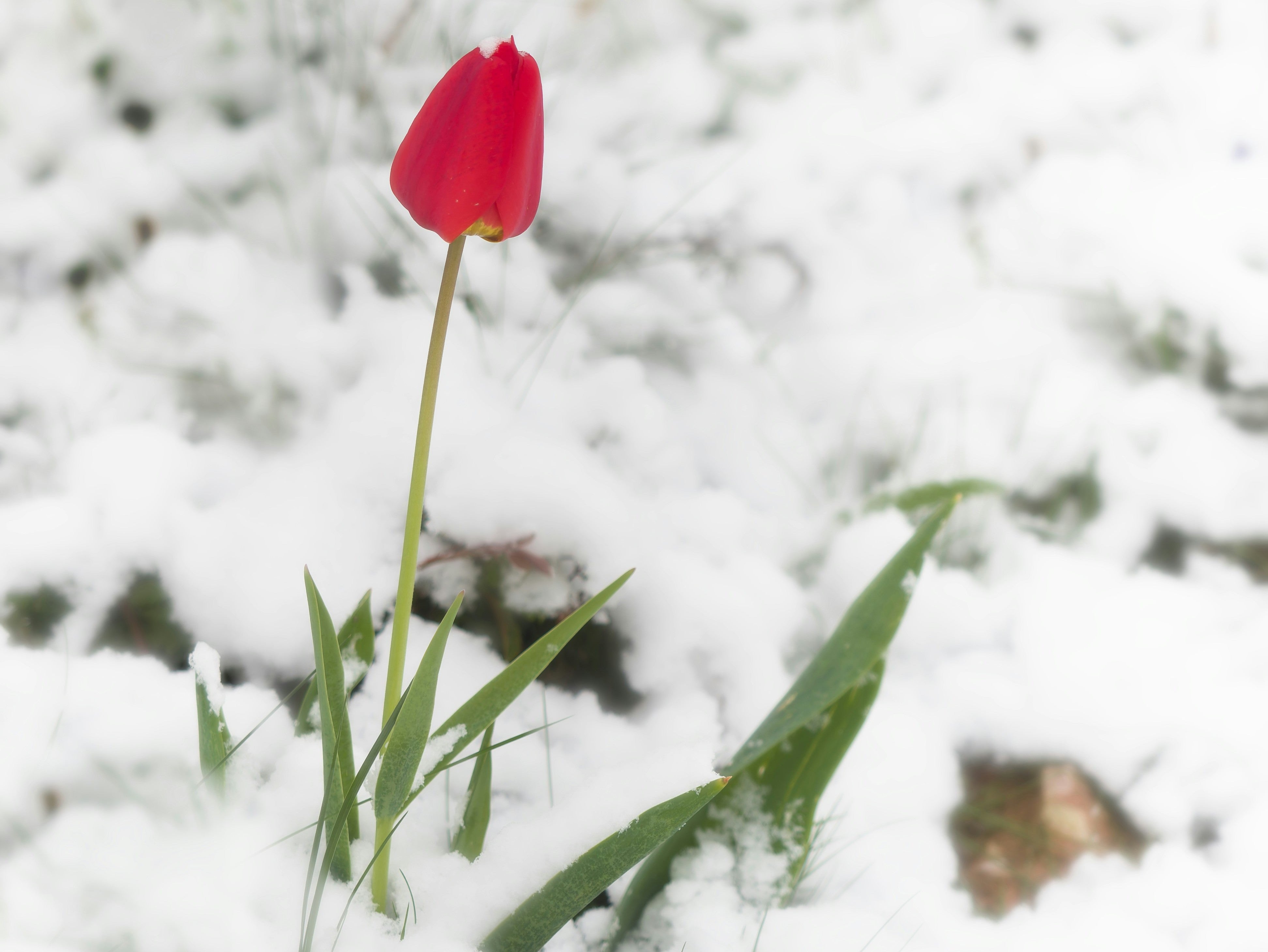 How to Style Layered Looks for Unpredictable Spring Weather – Lemon Cyprus