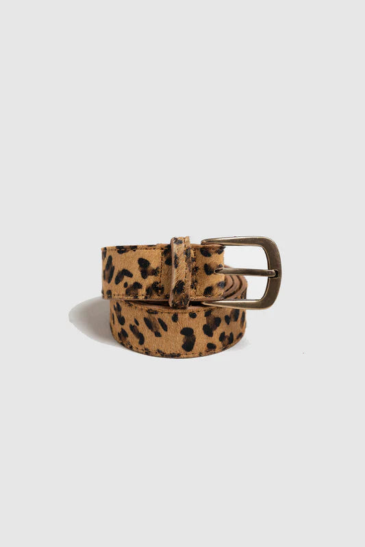 Leopard print belt with a gold buckle on a light gray background