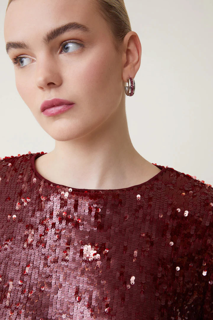 Get ready to sparkle and shine in the Louise Top from Suncoo! With short sleeves and a round collar, this burgundy sequin top adds a touch of glamour to any outfit. Perfect for a night out or a special occasion, the Louise Top will make you stand out from the crowd.